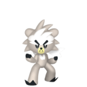 #891 Kubfu